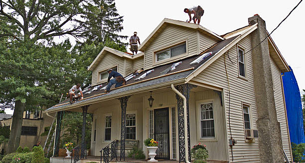 Best Local Roofing Companies  in Raymond, WA