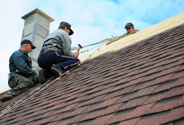 Best Roofing Contractor Near Me  in Raymond, WA